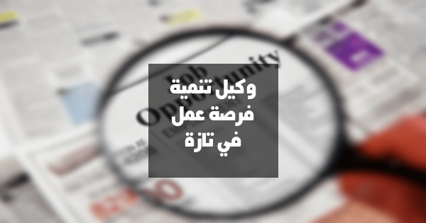 مطلوب وكيل تنمية في تازة: فرصة عمل مميزة في القطاع المالي!